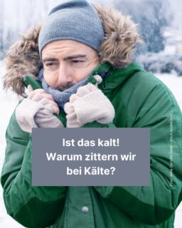 Wer in den vergangenen Tagen ein bisschen frische Luft schnappen wollte, brauchte eine warme Jacke, Schal, Mütze, Handschuhe und was immer man noch so auftreiben kann, damit man bei den aktuellen Temperaturen nicht konstant zittert. ⛄Aber warum schüttelt sich unser Körper eigentlich, wenn es kalt ist? Das erfährst du in diesem Info-Post! ❄
#schnee #wetter #kalt #zittern #funfact #zeitung #freistunde