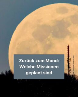 👨‍🚀Eigentlich hätte die Nasa diese Woche zum ersten Mal seit über 50 Jahren wieder zum Mond fliegen wollen. Allerdings wurde der Termin jetzt auf März verschoben. Wie die Artemis-2-Mission verlaufen soll, erfährst du in diesem Info-Post. 🌕

#nasa #mond #artemis2 #weltraum #raumfahrt #Wissenschaft #zeitung #freistunde