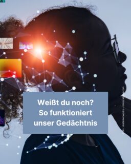 Das Gehirn ist eines unserer wichtigsten Organe: Es speichert unsere Erinnerungen und hilft uns, die Welt um uns herum wahrzunehmen. 👀 Doch wie genau das Gehirn funktioniert, erfährst du in diesem Info-Post! 🧠
#funfact #medizin #biologie #gehirn #gedächtnis #merken #info #zeitung #freistunde