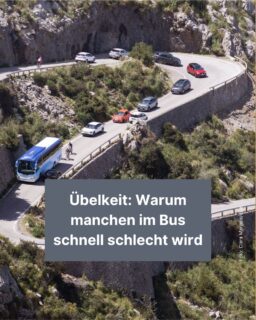 Bei langen Bus- und Autofahrten muss man manchmal eine Tüte dabei haben: Denn manchen Menschen wird dabei übel. 🤢 Wie geht man am besten damit um? Das erfährst du in diesem Info-Post!
#übelkeit #schlecht #reisen #auto #fahren #zeitung #freistunde
