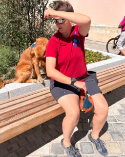 Hier siehst du Teresa mit ihrem Hund Oskar 🐶: Der Golden Retriever ist der Assistenzhund der Straubingerin. Denn Teresa hat das Asperger-Syndrom – eine Autismus-Spektrum-Störung. Oskar hilft der 24-Jährigen im Alltag zum Beispiel im Umgang mit anderen Menschen 💬. Mit welchen Schwierigkeiten Teresa so zu kämpfen hat, liest du morgen in der neuen Freistunde 🗞.
#autismus #autismusspektrumstörung #autismusaufklärung #asperger #aspergersyndrom #neurodivergent #neurodivergenz