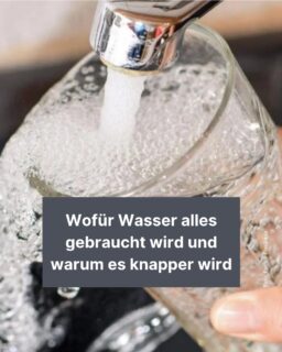 In Zeiten globaler Erwärmung wird immer wieder von Wasserknappheit gesprochen. 🪾 Die Ressource steckt in vielen Produkten, die wir jeden Tag benutzen. Diese gehen weit über einfaches Trinkwasser hinaus. 💧Forscher benutzen verschiedene Farben zur Einordnung oder erstellen einen Fußabdruck, um unseren Konsum besser zu messen. 🛁🚿 Mehr dazu liest du in diesem Info-Post!

#wasser #knappheit #globalwarming #klimawandel #wasserverbrauch #dürre #trinkwasser #zeitung #freistunde