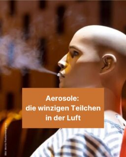 Sie sind immer um uns herum, aber trotzdem sehen wir sie fast nie: 🧐 Aerosole sind winzige Teilchen in der Luft und enorm vielfältig. Egal ob Pollen, Staub oder Wolken ☁️, sie treten in den unterschiedlichsten Formen in unserem Leben auf. Mehr darüber erfährst du in diesem Info-Post! 😊
#luft #aerosole #viren #wolken #abgase #auto #wasser #vielfältig #zeitung #freistunde