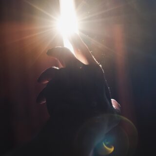 Ein Weg aus der Dunkelheit: Auch darum geht es in unserer Freistunde diese Woche. Wir sprechen mit drei jungen Menschen aus der Region, die Depressionen haben oder hatten – und auch darüber, was sie trotz allem glücklich macht. 😊
#mentalhealth #depression #traurigkeit #psychologie #psychology #sadness #tipps #zeitung #freistunde
Foto: Alexander Luzhbin – stock.adobe.com